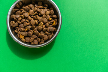 Kibble in pet bowl on the green background, close up image