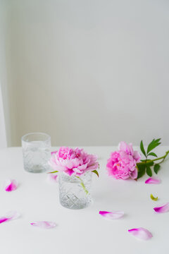 pink peonies and petals near glasses with fresh water on white surface and grey background.
