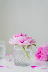 pink peony in faceted glass with pure water on white surface isolated on grey.
