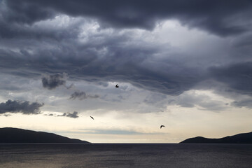 Dark dramatic sky with stormy clouds and swallows over sea