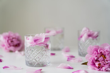 Obraz na płótnie Canvas pink peonies and glasses with tonic and petals on white surface isolated on grey.