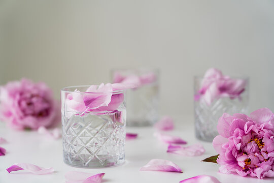 pink peonies and glasses with tonic and petals on white surface isolated on grey.