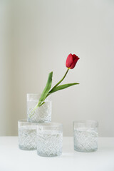 crystal glasses with pure water and red tulip on white tabletop and grey background.