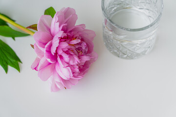 high angle view of fresh pink peony and faceted glass with pure water on white surface.