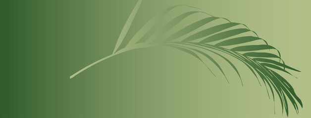 Abstract organic palm leaf header or banner background with space for text isolated on green gradient background