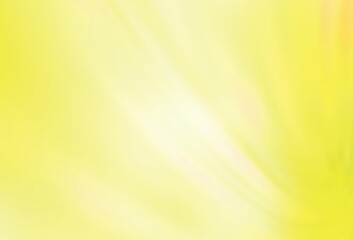 Light Yellow vector glossy abstract layout.