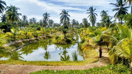 Isla de la Piedra, Mazatlan, Sinaloa, Mexico