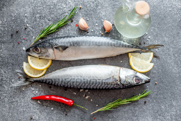 raw mackerel on stone background