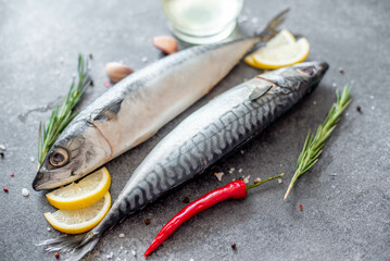 raw mackerel on stone background