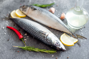 raw mackerel on stone background