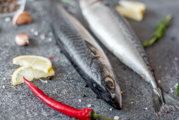 raw mackerel on stone background
