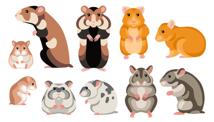 Hamster Cartoon Set
