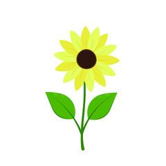 Sunflower icon isolated on white background vector illustration. Cute hand drawn flower.
