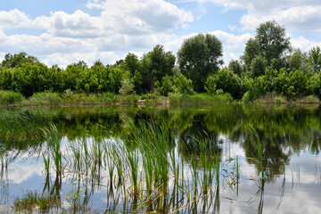 picturesque lake on the outskirts of the village
