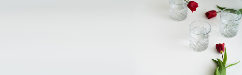 high angle view of glasses with water near red tulips on white surface, banner.