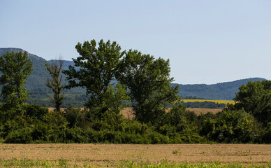 Panoramic terrain of southern Europe. Landscape of Bulgaria-mountains, fields, flora.