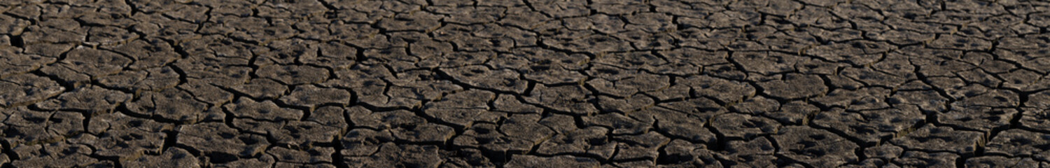 Earth cracked because of drought. The global shortage of water on the planet. Global warming concept. Dry cracks in the land.