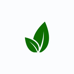 green leaf vector design logo set on white background