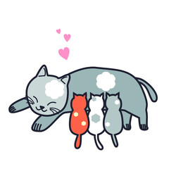 Kitty Cats suckling its Mother Cat