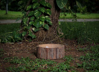 photo session set up for babies a wooden tub prop under a fresh green tree