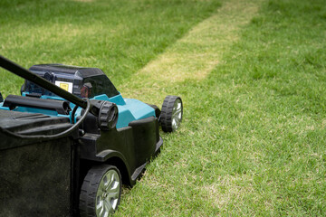 Lawn mover machine cut green grass, Hobby planting home garden.