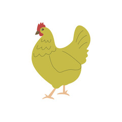 Chicken is walking. Colorful vector isolated hand drawn illustration. Domestic bird. Poultry breeding concept, rural life, farming. Village life. Single icon