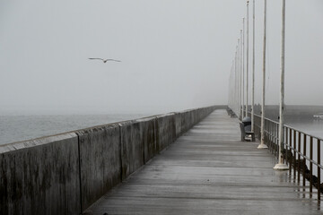 View along sea wall as a seagull flies over the harbor in Santa Barbara, overcast day with sea mist