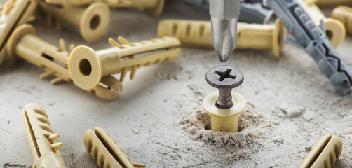 screwdriver screw and dowel in a concrete wall background