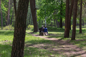 An elderly married couple is resting on a walk in the forest while sitting on a tree stump