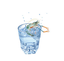 crevette d'eau douce, eau, en verre, évasion, sauter, boire, isolé, aliment, blanc, frais, clapoter, froid, liquide, glace, fruits de mer, bouillonner, boisson, clair, bleu, sain, verser, fraîcheur, a