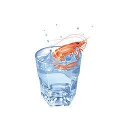 crevette rose, eau, en verre, évasion, sauter, boire, isolé, aliment, blanc, frais, clapoter, froid, liquide, glace, fruits de mer, bouillonner, boisson, clair, bleu, sain, verser, fraîcheur, abattre