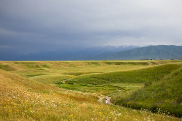 Fototapeta premium wild fields and meadows against the background of blue mountains