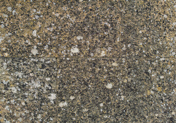 background, texture - a wall of even stone blocks, covered with lichen from old age