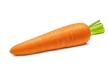 にんじん 人参 イラスト リアル 単体