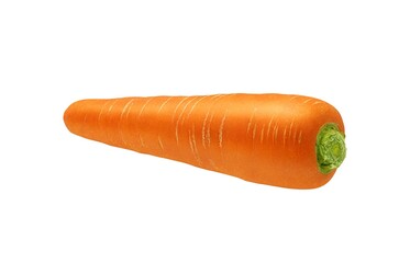 にんじん 人参 イラスト リアル 単体