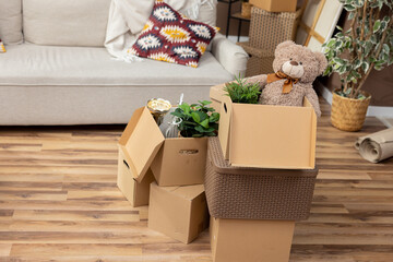 Moving in out, cardboard boxes of packed things stacked on top of each other, a plant in a pot, renting selling an apartment, relocating,