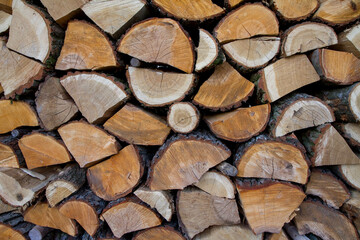 Pile of firewood stocked outdoors, some dry and some fresh