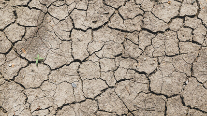 The land was dry and cracked. The global shortage of water on the planet. Global warming and greenhouse effect concept.	