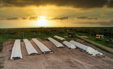 Aerial view of several silo bags in the field © fernando
