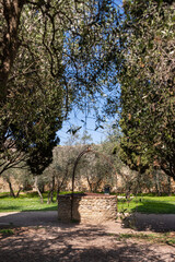 The Well In The Castle Of San Gimignano