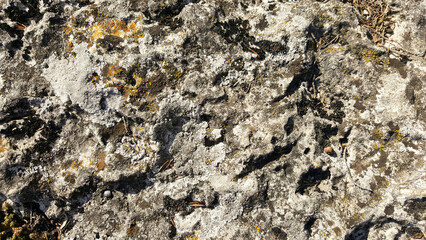 stone wall texture rock grey