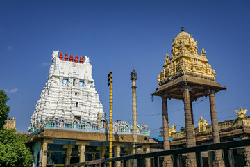 The Varadharaja Perumal Temple and Lord Atthi Varadar Perumal god statue inside the pond,...
