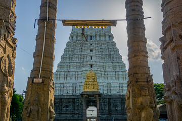 The Varadharaja Perumal Temple and Lord Atthi Varadar Perumal god statue inside the pond,...