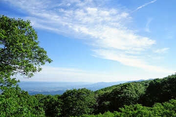 Obraz premium VIew of the valley from Shenandoah National Park at Big Meadows