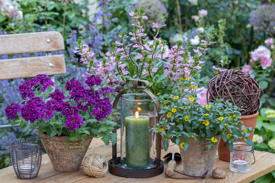 Sommer-Gartendekoration mit Blumen in Terracotta-Töpfen und Laterne
