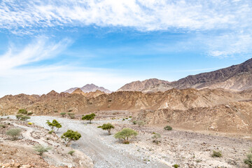 Fototapeta na wymiar dry riverbed between arid and rocky Mountains with copy space in the sky, Ras Al Khaimah Emirates, United Arab Emirates (UAE), Middle East