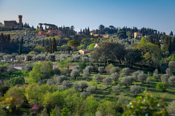 Fototapeta na wymiar Hills, cypresses, olive trees and 'Torre del gallo' castle