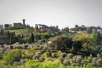 Fototapeta na wymiar Hills, cypresses, olive trees and 'Torre del gallo' castle