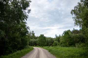 Fototapeta na wymiar forest dirt road in Latvia summer