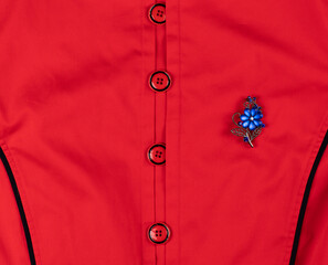 brooch on a red dress